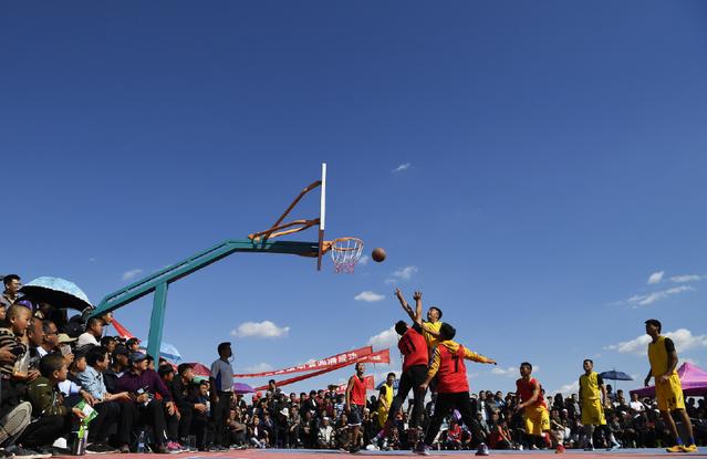 爱的文化养 爱的文化养